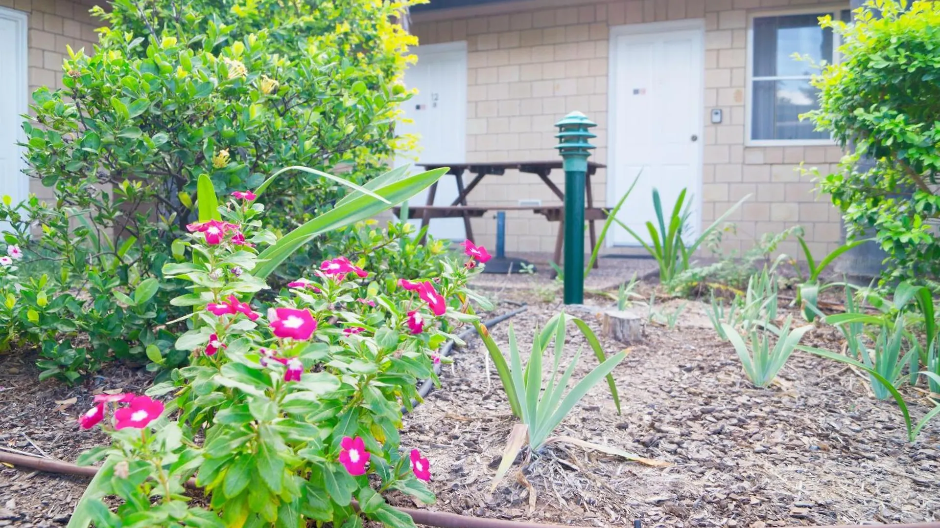 Jacaranda Country Motel Saint George