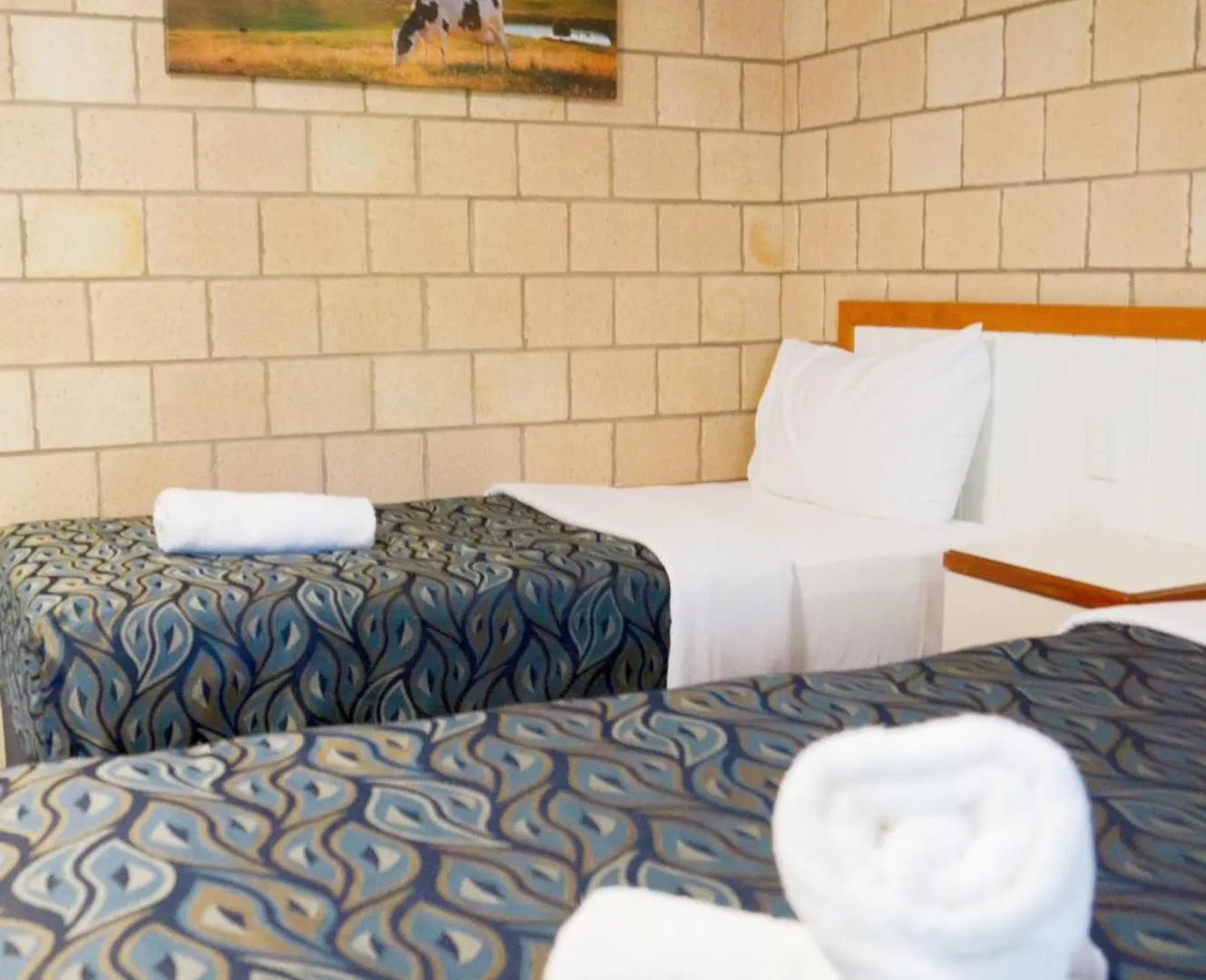 Jacaranda Country Motel Saint George